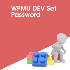 WPMU DEV Set Password