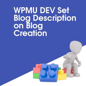 WPMU DEV Set Blog Description on Blog Creation
