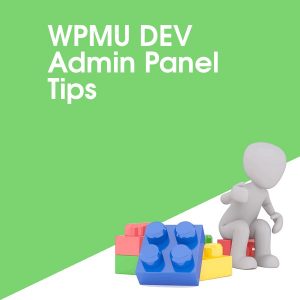 WPMU DEV Admin Panel Tips