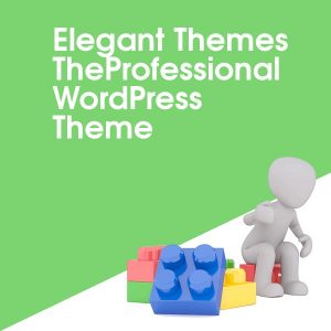 Elegant Themes TheProfessional WordPress Theme